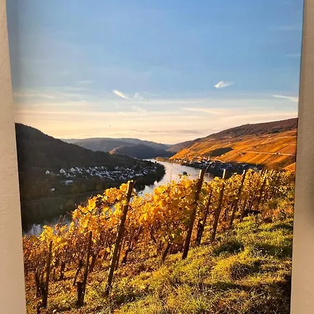 Nyaraló Ankerpunkt *