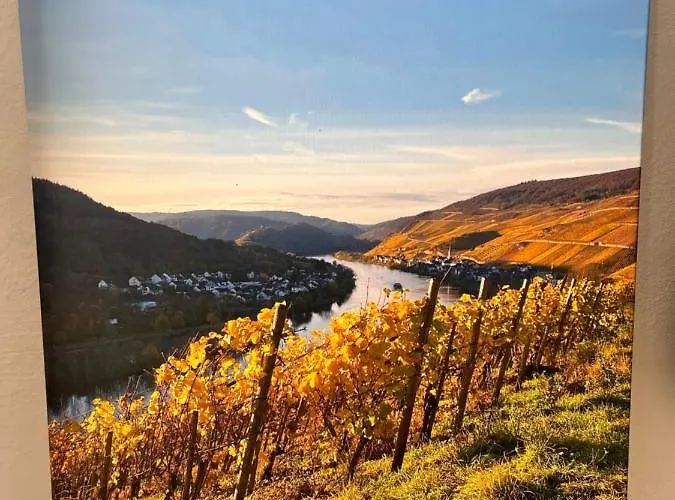 Hébergement de vacances Ankerpunkt *